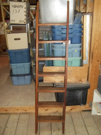 Ladder Wooden Bunk Bed