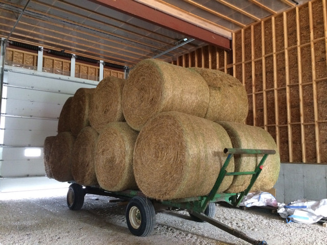 Round bales straw in Livestock in Grand Bend