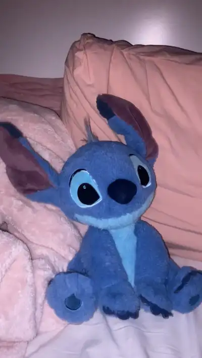 Toutou Stitch , View more