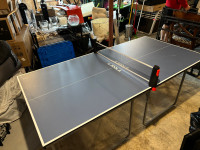 Ping Pong table/Table Tennis set with net, paddles and ball