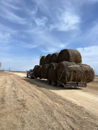 Hay/vehicle/equipment hauling 