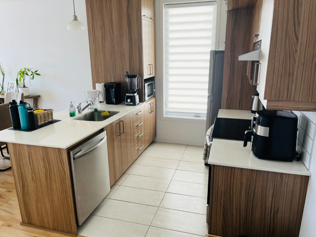 Condo 3 1/2+ Lumineux à louer à Longueuil dans Locations longue durée  à Longueuil/Rive Sud - Image 3