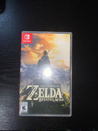 Zelda Breath of the Wild on Switch