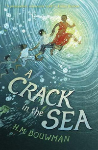 New  Crack in the Sea: By Bouwman, H. M. book