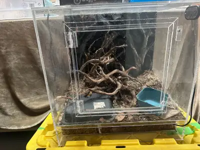 Seamless acrylic terrarium for plants or reptiles , View more