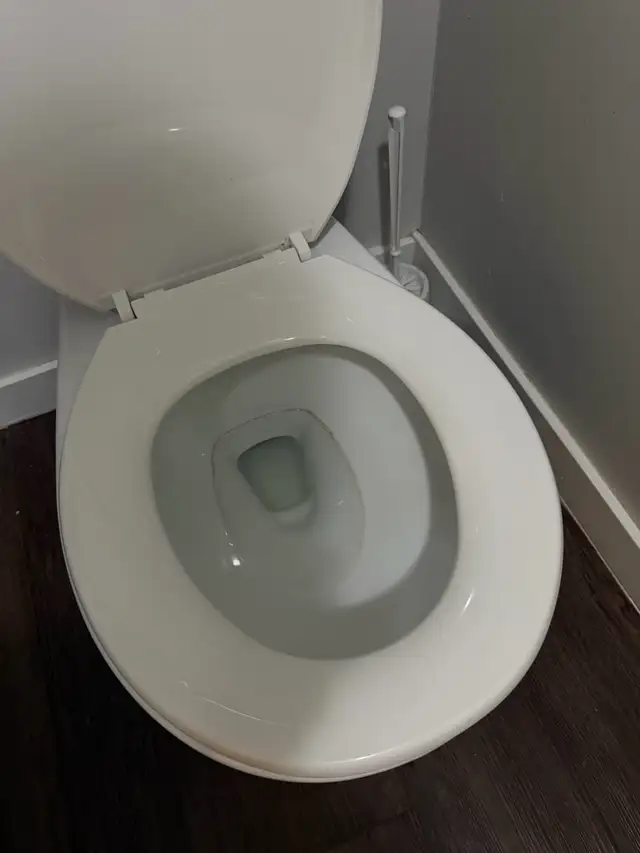 cleaning 595067089621493767