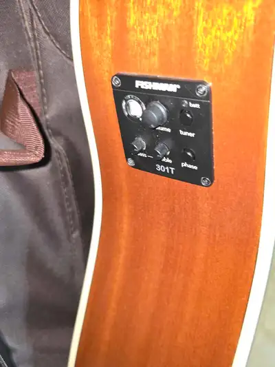 Washburn  WD10SCE , View more