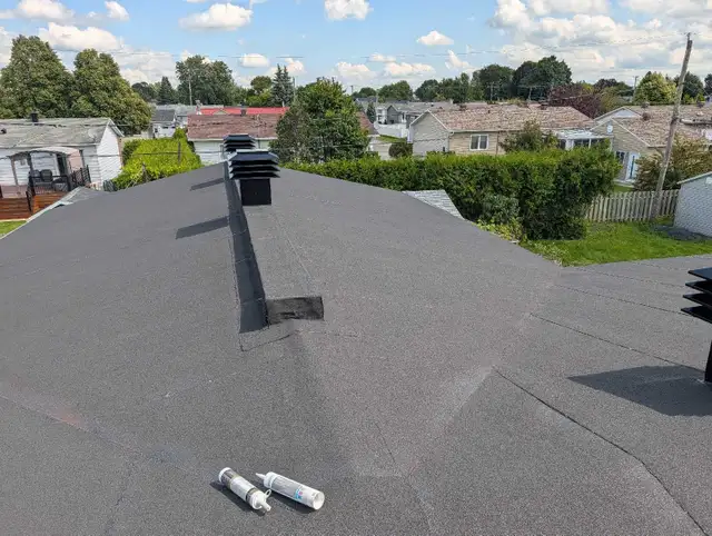 Roof Visual Inspection and Prevention