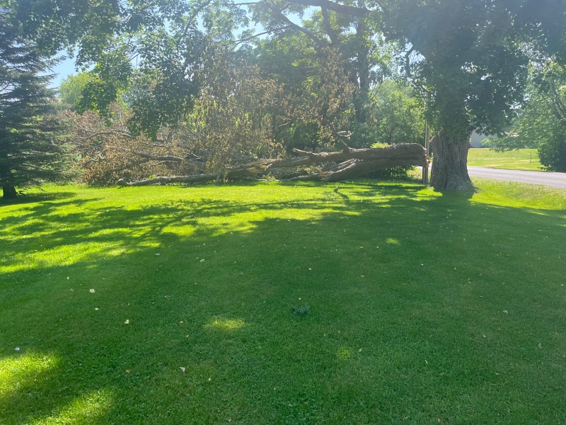 Need chainsaw work? Lawn, Tree Maintenance & Eavestrough Petawawa