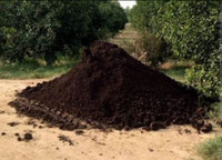 Manure for Sale (FREE DELIVERY-$150 FOR 2 YARDS)
