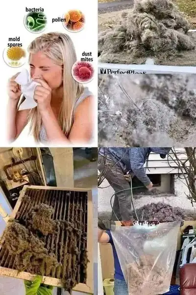 Bonjour Membres de la communauté!! Offre Spéciale octobre 75$ Rabais Notre service de nettoyage d'éc...