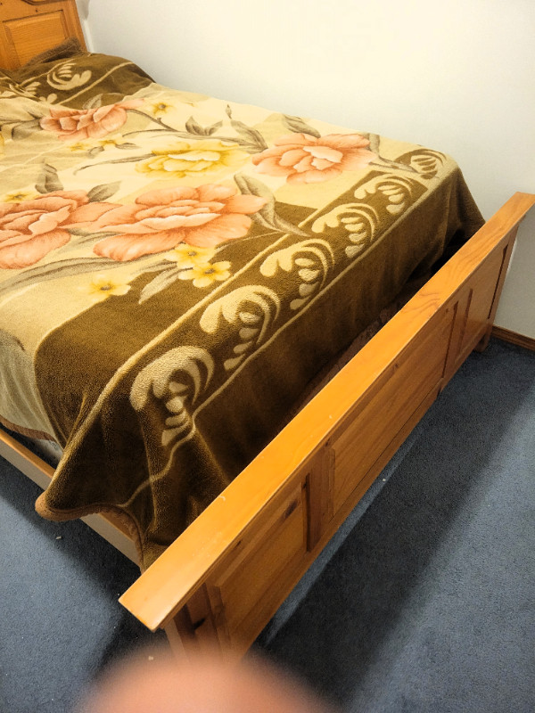 Double Bed with box spring and mattress in Beds & Mattresses in Calgary - Image 3