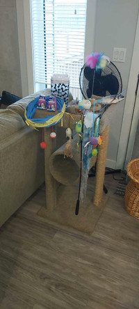 CAT TREE AND ACCESSORIES.