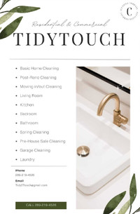 Tidy Touch cleaners