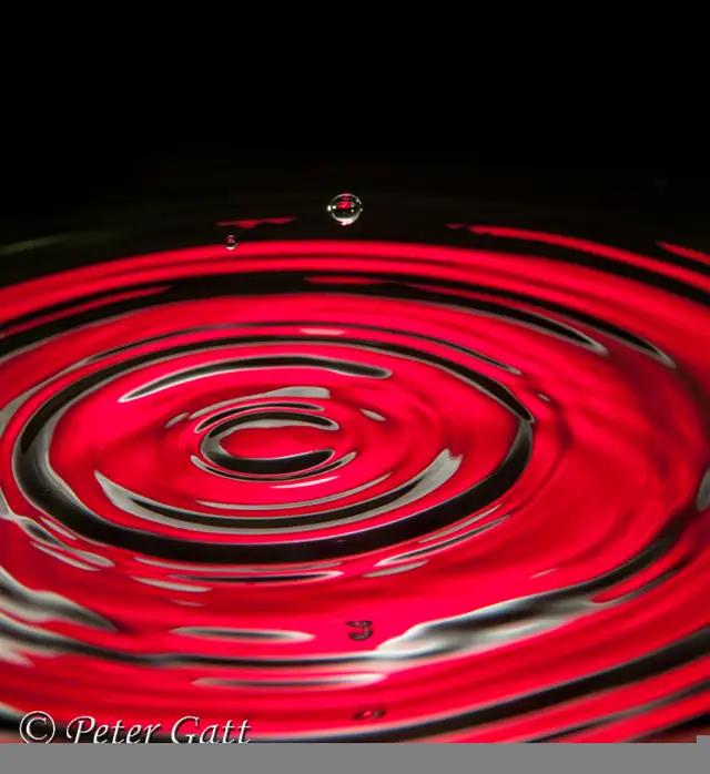 LIVE Interactive Photography Courses (Online)64551245051650121