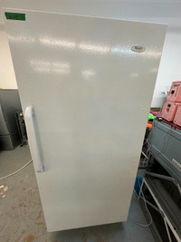 Congélateur Vertical Wood's Blanc 30" white freezer