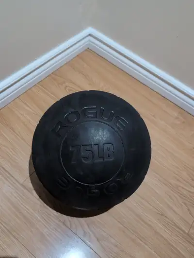 Rogue Fitness Rubber Atlas Stone - 75 LB, View more