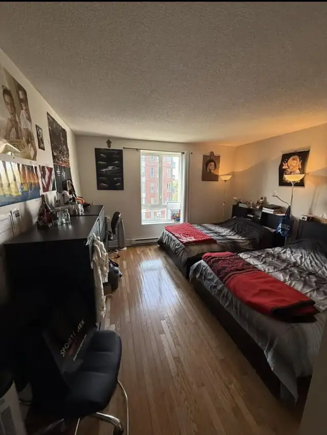 Condo 4 1/2 Rent in Long Term Rentals in City of Montréal - Image 7