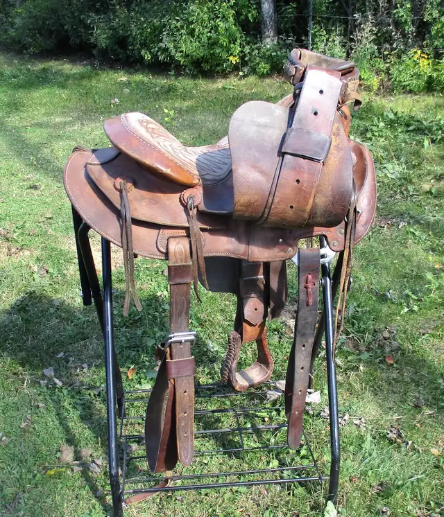 15" Bona Allen saddle, made in USA in Equestrian & Livestock Accessories in Dawson Creek - Image 7
