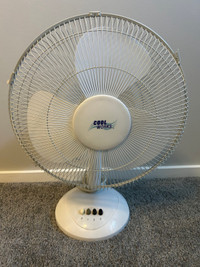 Fan        