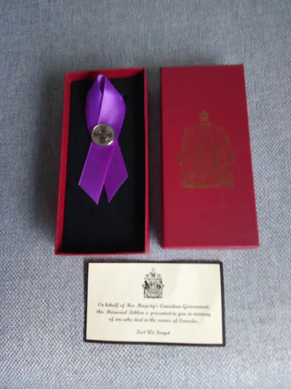 Memeorial pin64520011932547120