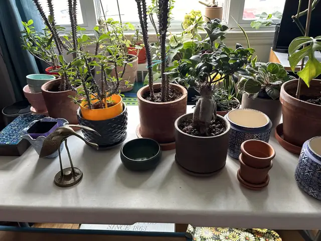 Downsizing estate sale mcm retro in Home Décor & Accents in Ottawa - Image 3