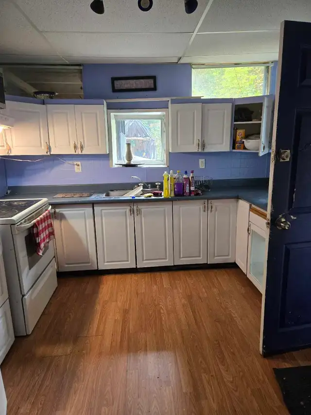 1 bedroom apartment. in Short Term Rentals in Corner Brook - Image 5