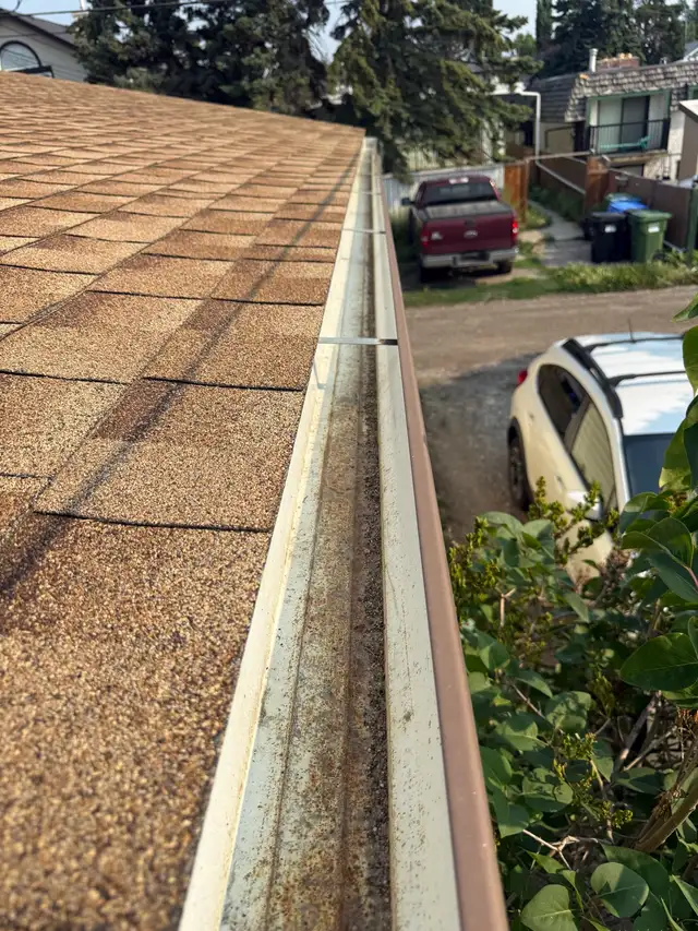 Gutter Cleaning582383947367075841