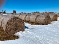 Hay net wrapped bales