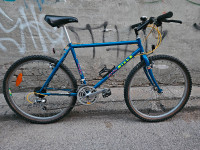 Vintage Miele mountain bike