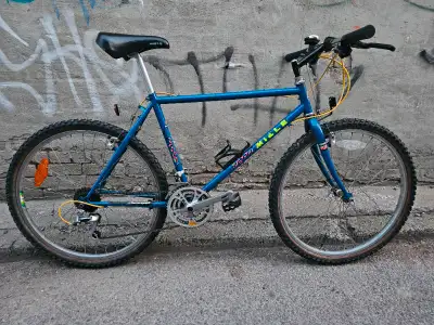 Kijiji mountain bike for sale hotsell