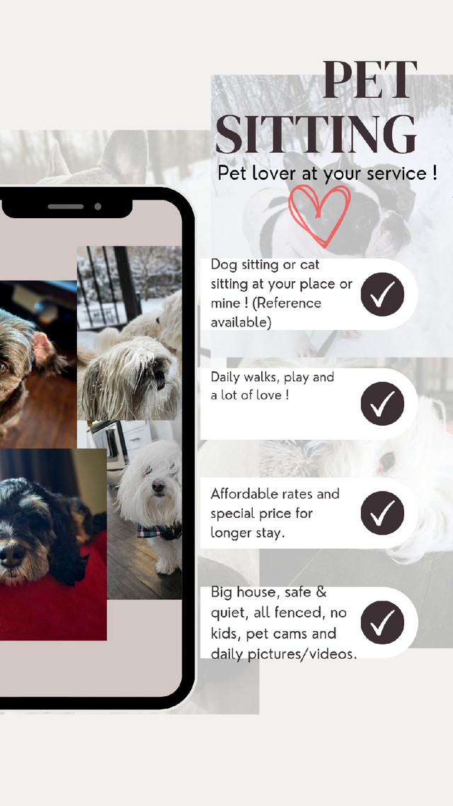 Dog and cat sitter / Gardienne chien et chat in Animal & Pet Services in Gatineau - Image 4