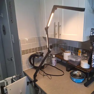 Architect Swing Arm LED Desk Lamp, View more