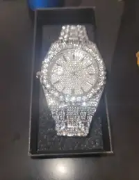 Iced out watch 