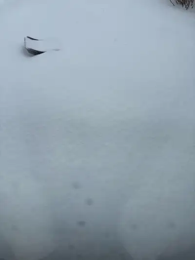 Snow removal Port Dover Send me a message and I will come shovel your snow! Prices vary on size of p...