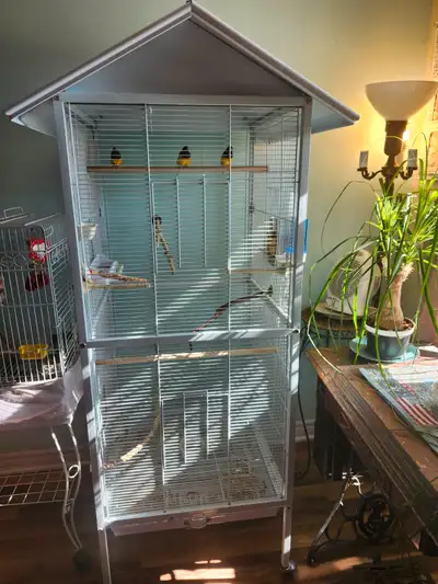 Belle volière en métal blanc avec 3 Diamand de Gould (mâles) Accessoire inclus. Le tout 300$ Non nég...