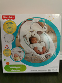 Fisher Price Delux Bouncer.  $35