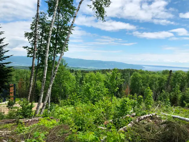 Terrain a vendre Baie St-Paul in Land for Sale in Québec City - Image 3