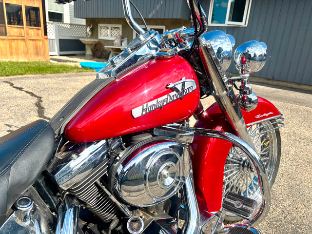  1998 Heritage Softail Cholo / Vicla  in Street, Cruisers & Choppers in Calgary - Image 4