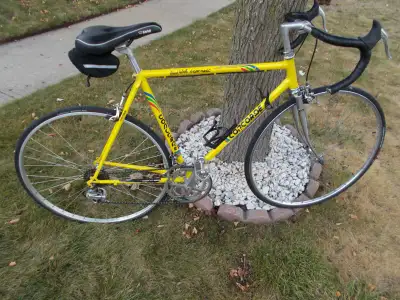 CONCORDE  Yard Works road bike EXCELLENT SHAPE =A;LL TUNED, View more