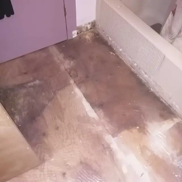 Water Damage Repairs