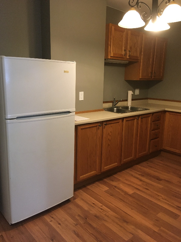 Main Floor Strathroy Bachelor/Studio Apartment Long Term Rentals