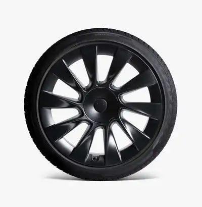 These 20-inch OEM Tesla Induction wheels come mounted with Michelin Pilot Alpin winter tires, offeri...