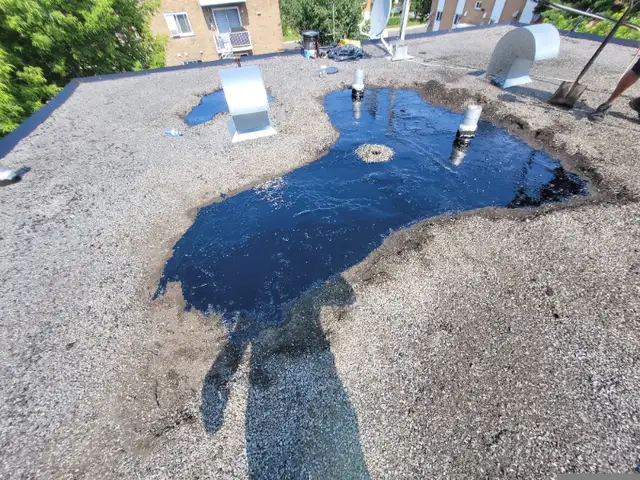 NO OVERCHARGING — JUST A MASTER ROOFER FOR ROOFING AND COVERINGS65636565644163126