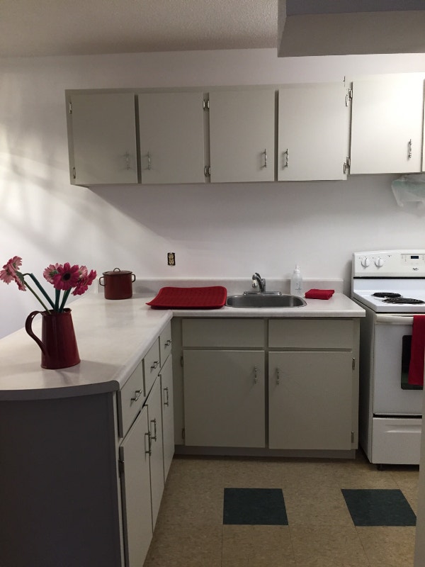 NICE ONE BEDROOM APARTMENT IN ELORA ON Long Term Rentals Guelph