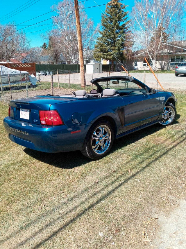 2000 Ford mustang convertible  in Cars & Trucks in Calgary