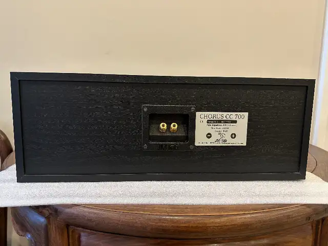 Speaker in Speakers in Markham / York Region - Image 9