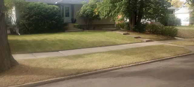Top quality yardwork at a great value, based central NE533919362576568327