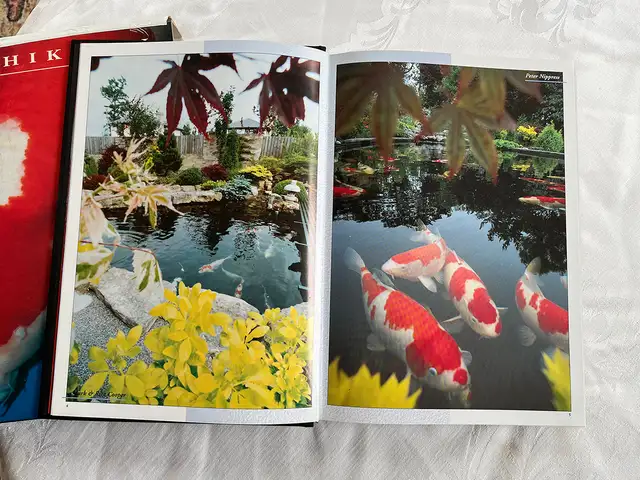 Still Waters – Deluxe Hardcover by Nigel M.W. Caddock in Other in City of Toronto - Image 6