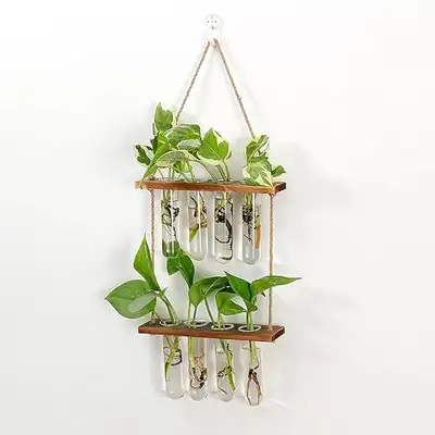 Tubes (8) pour boutures de plante – NEUF, View more